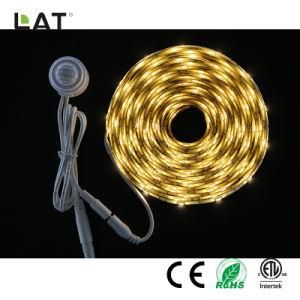 High Brightness Smart DC12V/24V 5m SMD5050 Ww/Cw 30/60/120LEDs Flexible LED Strip/Tape Ce/ETL/UL with Sensor Can Adjust 30s to 10min