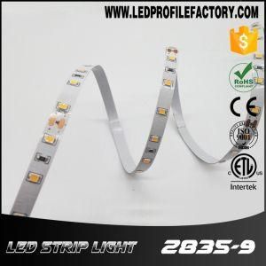 2835 12V/24V Waterproof LED Flexible Strip for Outdoor Lighting