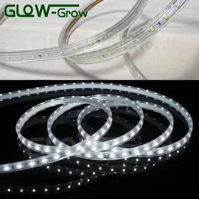 Rope Lamp DC 120V IP65 Waterproof 60LEDs/M SMD 2835 LED Strip Light