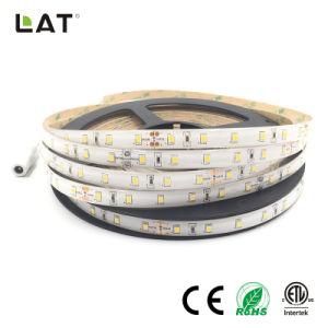 High Brightness DC12V DC24V IP65 SMD2835 Ww Cw 10m 30LEDs 60LEDs 120ledsflexible LED Strip Tape Ce ETL UL