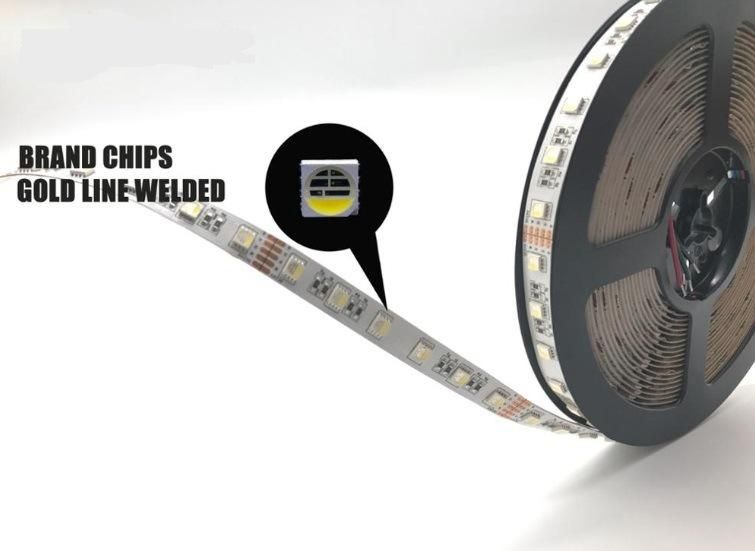 Top Sale Flexible LED Strip Light/ SMD LED Strip Dimmable RGBW with Ce & RoHS Approval