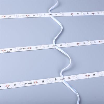 12V Dual Resistor LED Strip with Customizable Color Temperature
