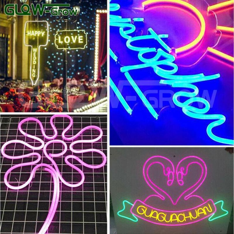 Indoor Outdoor Use 24V RGB Neon Flex Light for Christmas Outdoor Decoration