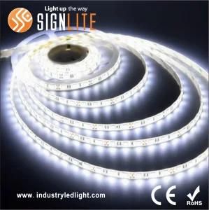 3 Years Warranty SMD5050 6W/M Flexible LED Strip Lights