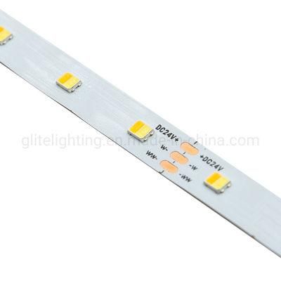 High Brightness LED Light 2835 CCT LED Light 60LED Strip DC24 Strip for Lighting