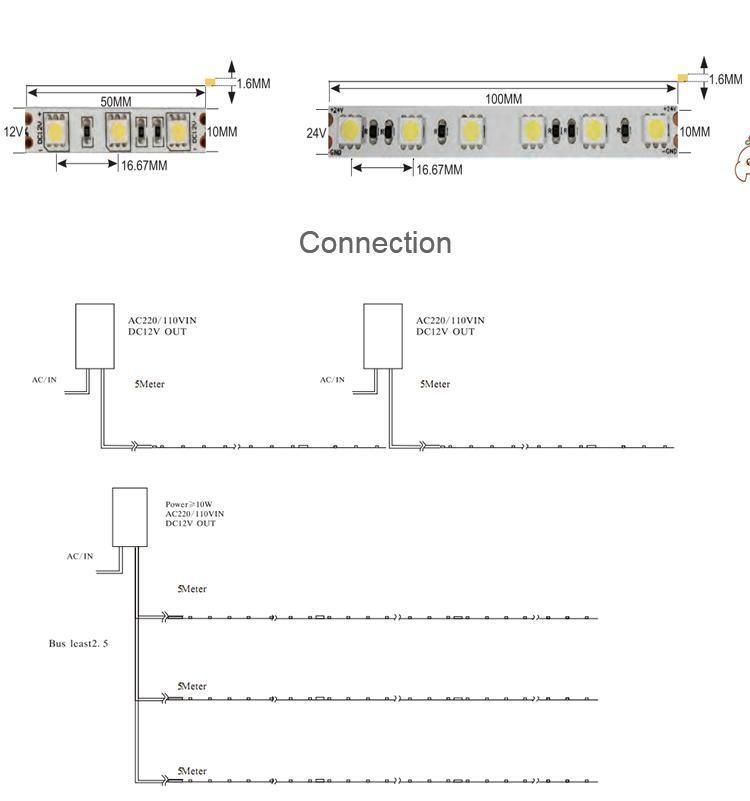 Best Price SMD5050 LED Strip Waterproof LED Strip Light