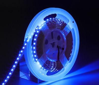 24V Ra80 Cutting Unit 100mm High Quality Lamp Beads Bare Plate Process 2835 Flexible LED Light Strip