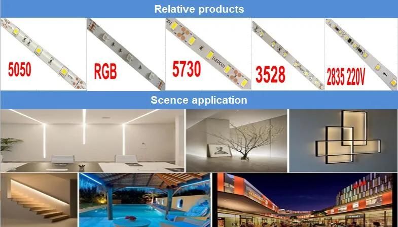 High Quality LED Light Strip 2835 with 120LEDs/M