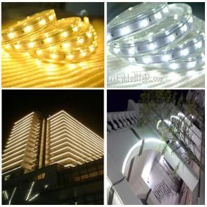 5630 110V 220V CRI80 ETL LED Strip Light