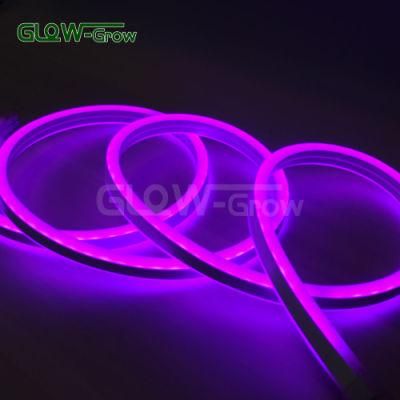 IP65 Waterproof 5050 Pofessional Double Side Cuttable LED Neon Strip Light for DIY Lighting Design