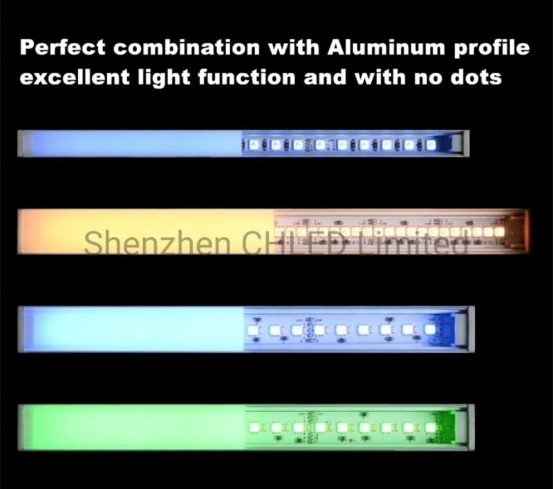 RGB Waterproof Flexible LED Strip 5050 SMD RGB LED Light 24V for Decoration Lights
