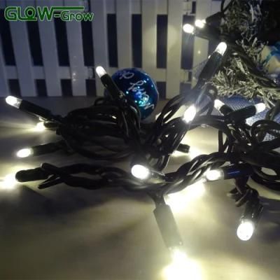 Wholesale Waterproof Holiday Use Rubber Wire LED White String Light with CE Approval