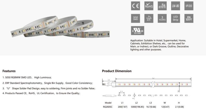 High Luminous 60LEDs Rgbww Flexible Colorful LED Light Strips