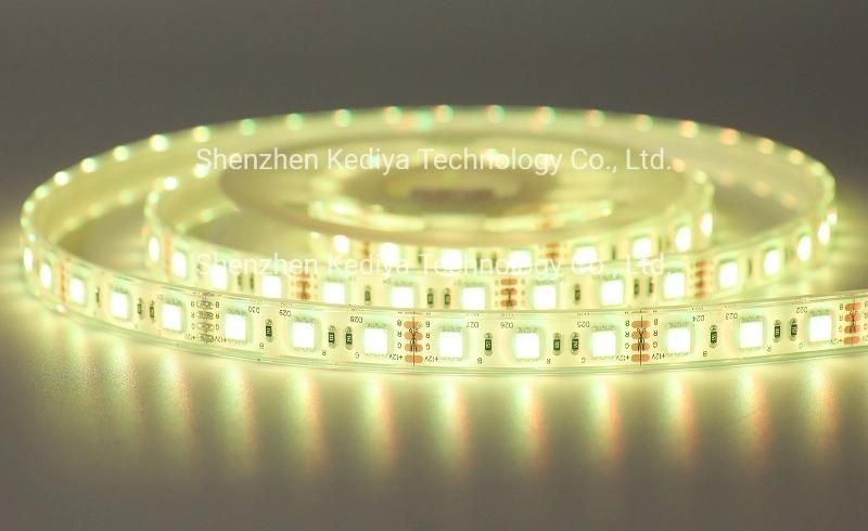 SMD 12V 24V LED Underwater Silicone Extrusion Waterproof IP68 Rope 5050 60 RGB Flexible LED Strip Light for Pool and Home Decoration Light