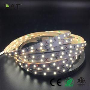 High Brightness DC12V 24V IP20 IP65 SMD2835 Ww Cw 3m 60LEDs Flexible LED Strip Tape Ce ETL UL