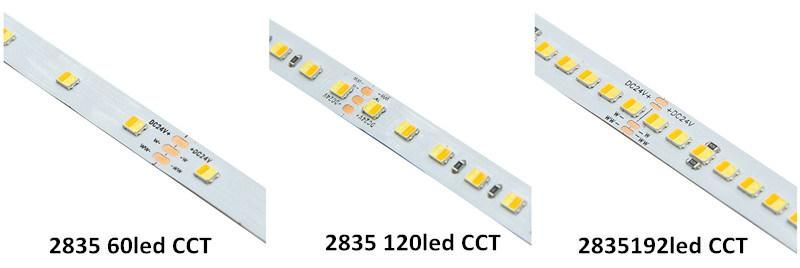 High Brightness LED Light 2835 CCT LED Light 60LED Strip DC24 Strip for Lighting