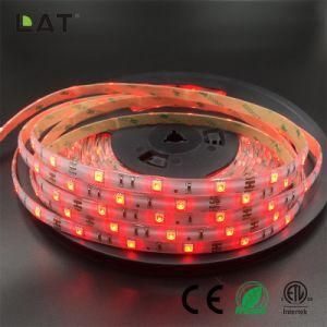 High Brightness DC12V DC24V IP20 SMD5050 RGB 10m 30LEDs Ce ETL UL Flexible LED Strip Tape