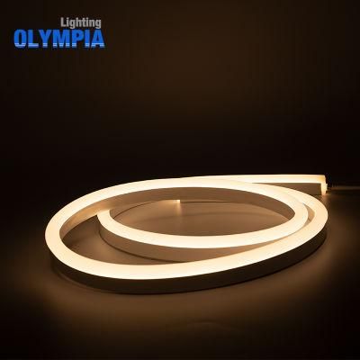 New Design IP68 Waterproof Outdoor LED Flex Strip Light