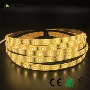 High Brightness DC12V DC24V IP20 IP65 SMD2835 Ww 10m 30LEDs 60LEDs 120ledsflexible LED Strip Tape Ce ETL UL