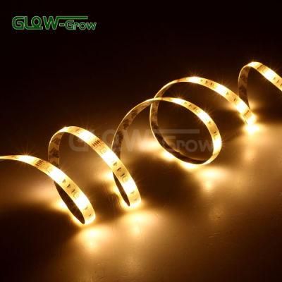 UL 5050 SMD 5 Meters 24V RGB+CCT Color Changing Adjustable LED Strip Light