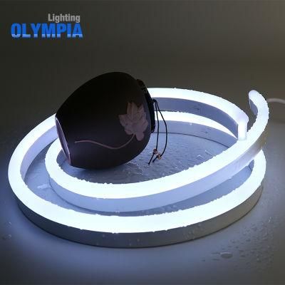 LED Ultra Thin Rope Light Swimming Pool LED Rainbow Strip