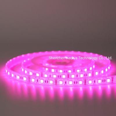 High Quality 14.4W SMD5050 Waterproof 60LEDs/M LED Flexible RGB LED Strip Light