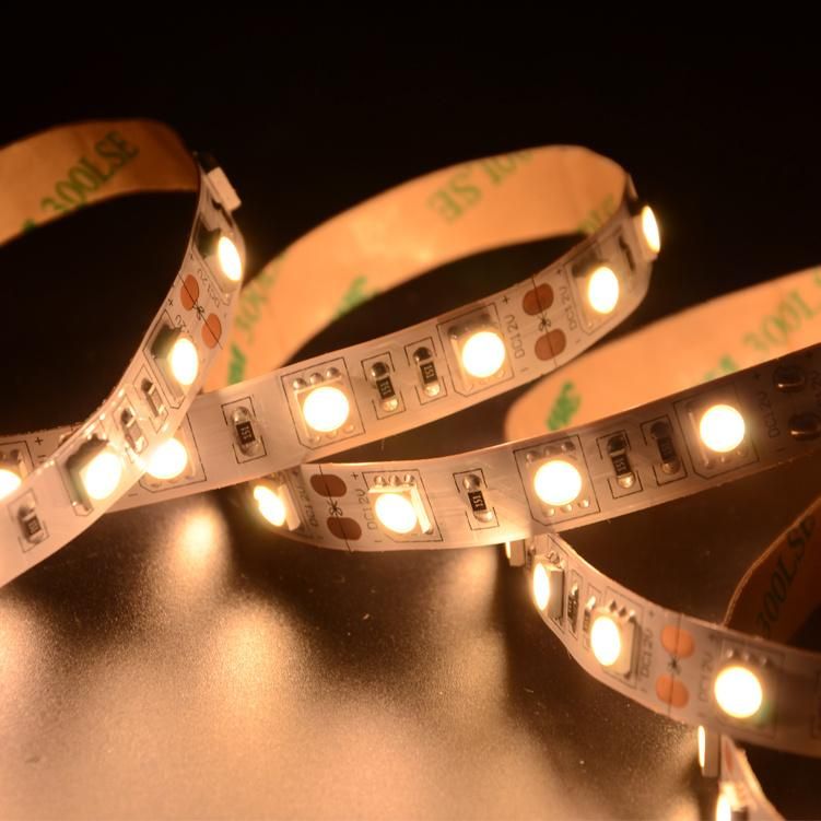 3 Years Warranty High Brightness DC12V / 24V SMD 5050 LED Strip