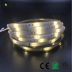 High Brightness DC12V DC24V IP20 IP65 SMD5050 Blue+2835ww Cw 10m 120LEDs/M Flexible LED Strip Tape Ce ETL UL