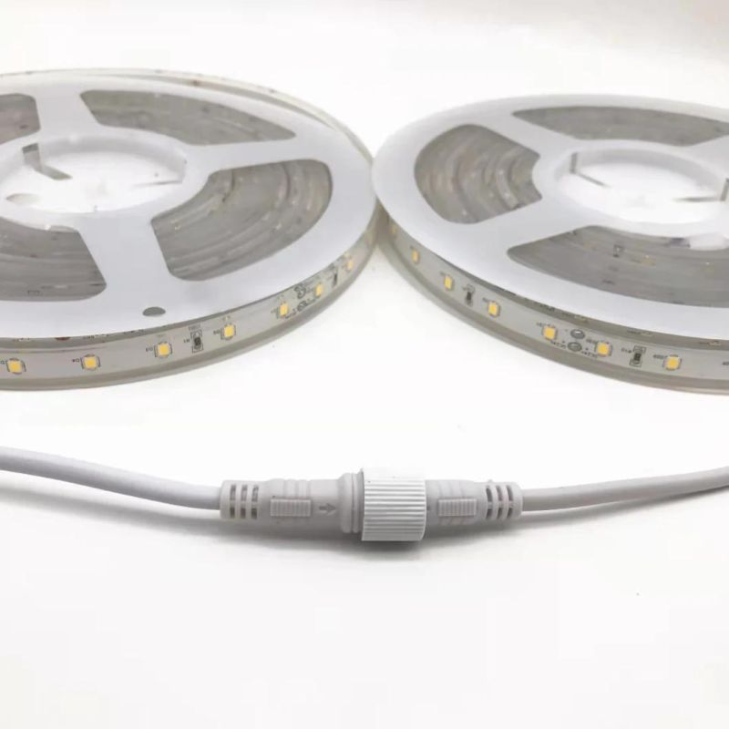 Decoration LED COB Light Remote DC 24V Flexible LED Strip with CE Certificate