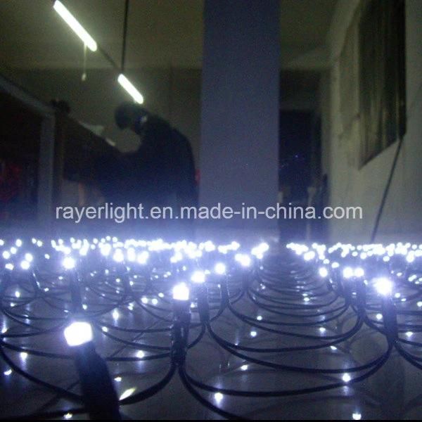 LED Twinkle Decorative Light LED Garden Net Lights LED Wedding Outdoor Decorative Lights