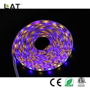 DC24V 3m IP20 High Brightness SMD5050 RGBW 60/120LEDs Flexible LED Strip Light