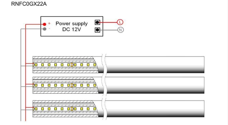 Beam Angle 360 Degrees DC12V/DC24V 2835 Flex Neon LED Strip