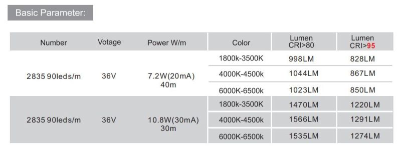 90 LEDs/M SMD2835 IC-Bulit-in LED Light Strip for Decorative LED Lighting