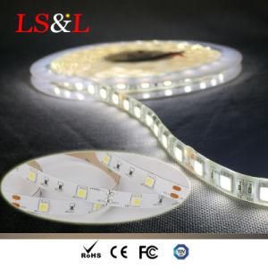 5050 LED Strip30LEDs/M SMD Lighting Decoration
