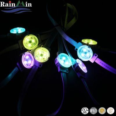 SMD3535 180degrees RGB LED Dome Light for Outdoor Decoration