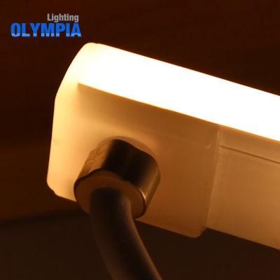 24V Flexible LED Neon Strip Light