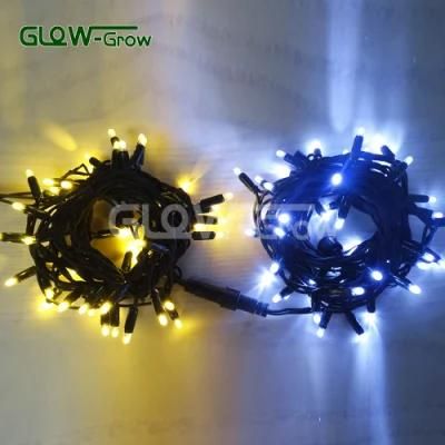 Christmas Use IP65 Twinkly LED Chain String Light for Window, House, Festival Decoration with Flash Bulb 4+1