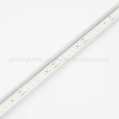 Factory Price Flexible LED Stripe SMD2835 128LED DC24V 6000K for Indoor