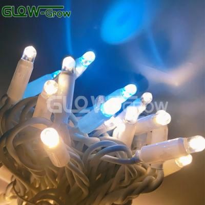 Connectable Warm White Waterproof IP65 Rubber Christmas Outdoor LED String Lights Garland with Blue Bulb Light for Holiday Party Decoration