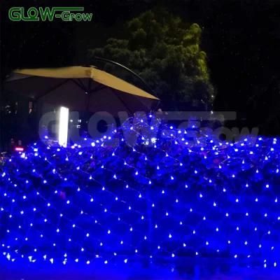 230V Custom Blue LED Festival Net Mesh String Light for Wedding Decoration