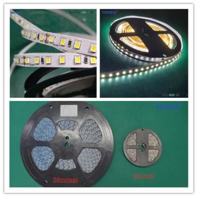 10m/Roll 100lm/W DC12V Flexible Tape LED Strip