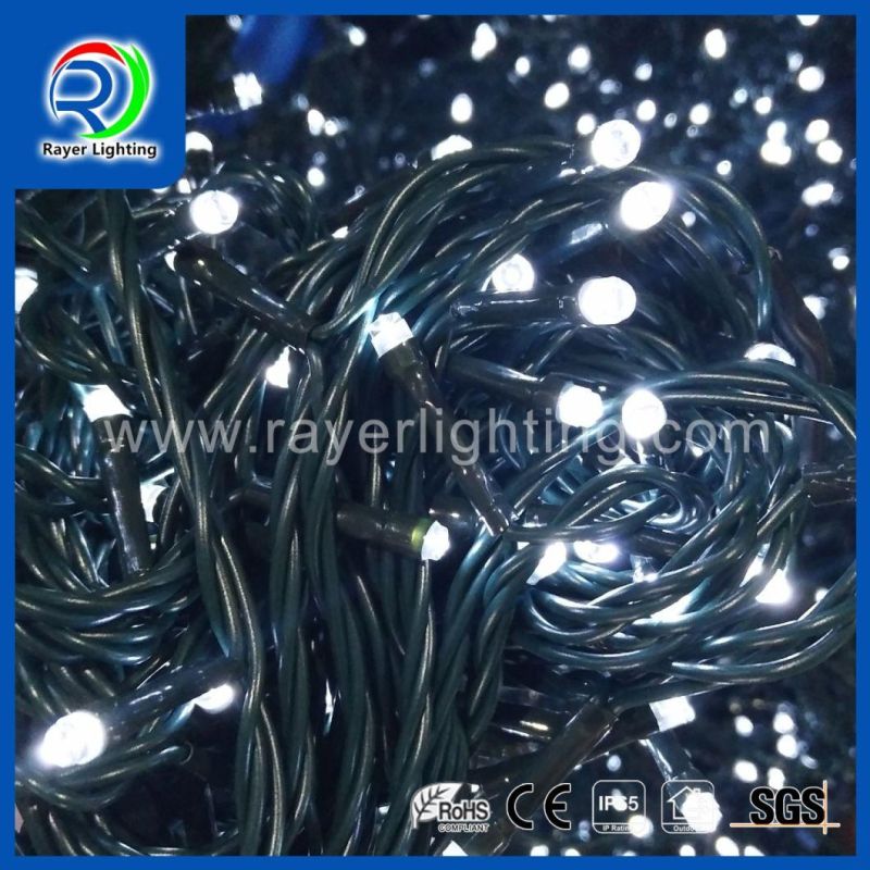 Holiday Light Christmas Decoration Christmas Light LED String Lights Balck Cable