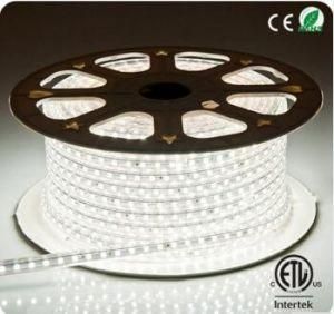 5050 SMD LED Light with High Lumen and 2 Years Warranty