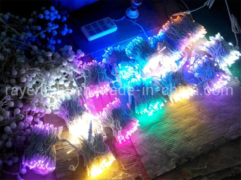 LED High Quality String Lights LED Rubber Cable Outdoor Wedding Decoration