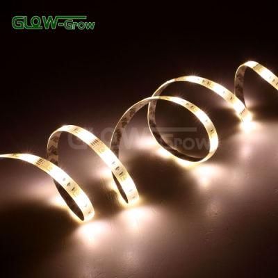 UL 5m 12V RGB CCT Color Changing LED Tape Strip Light for House Decoration with Remote Controller