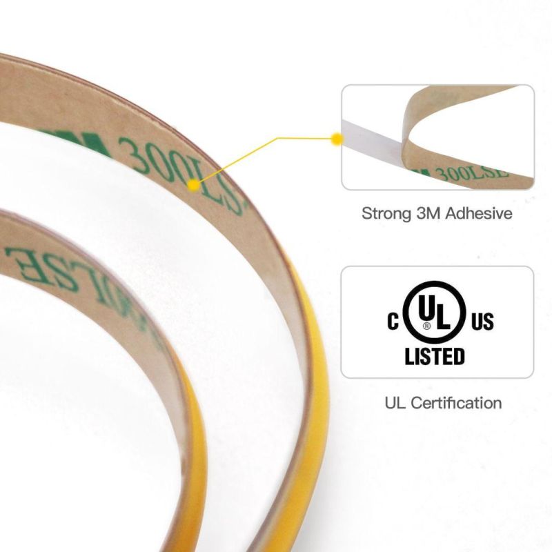 CE&RoHS Certificated LED Strip RGB+CCT LED Flexible Strip Light 12V/24V LED Linear Lighting