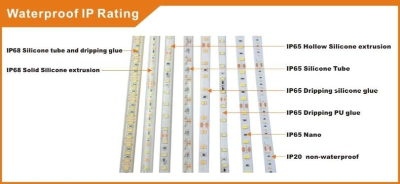 Multicolor Red, Green, Blue, Orange Available SMD3528 LED Flexible Strip