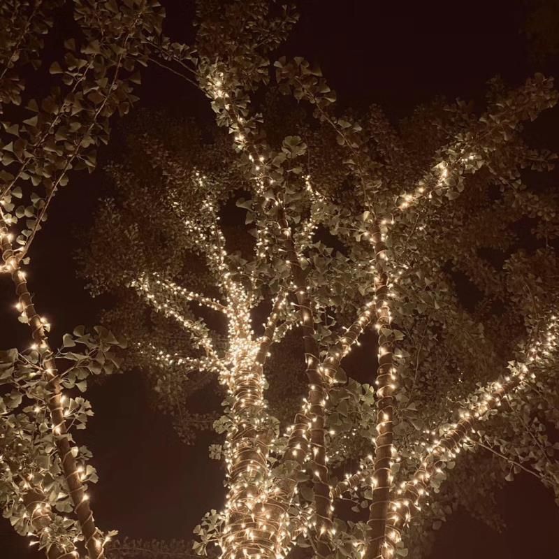 Waterproof Light Decorating Branches Light String Christmas Light