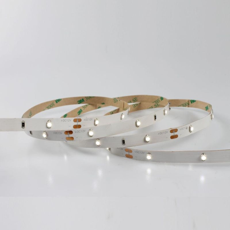 DC12V Changeable SMD3528 Flexible LED Strip Light with CE Certificate