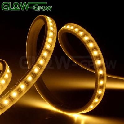 Outdoor IP65 Waterproof LED Strip Light Decoration Light for Pathway Use